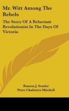 Mr. Witt Among the Rebels: The Story of a Reluctant Revolutionist in the Days of Victoria