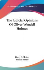 The Judicial Opinions of Oliver Wendell Holmes