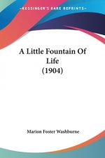A Little Fountain Of Life (1904)