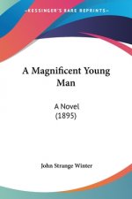 A Magnificent Young Man: A Novel (1895)