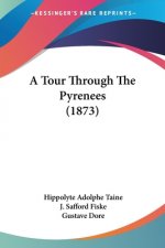 A Tour Through The Pyrenees (1873)