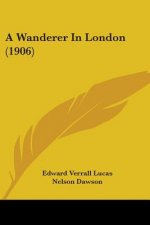 A Wanderer In London (1906)