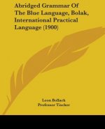 Abridged Grammar Of The Blue Language, Bolak, International Practical Language (1900)
