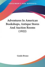 Adventures in American Bookshops, Antique Stores and Auction Rooms (1922)
