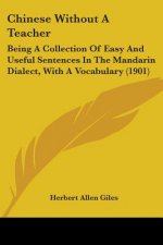 Chinese Without a Teacher: Being a Collection of Easy and Useful Sentences in the Mandarin Dialect, with a Vocabulary (1901)