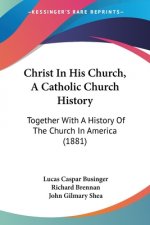 Christ In His Church, A Catholic Church History: Together With A History Of The Church In America (1881)