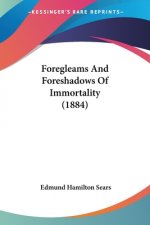 Foregleams And Foreshadows Of Immortality (1884)