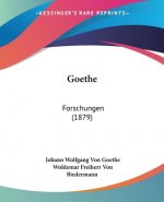 Goethe: Forschungen (1879)