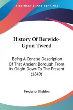 History Of Berwick-Upon-Tweed: Being A Concise Description Of That Ancient Borough, From Its Origin Down To The Present (1849)