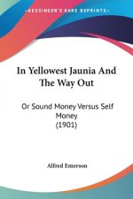 In Yellowest Jaunia And The Way Out: Or Sound Money Versus Self Money (1901)