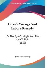 Labor's Wrongs And Labor's Remedy: Or The Age Of Might And The Age Of Right (1839)