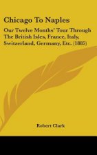 Chicago to Naples: Our Twelve Months' Tour Through the British Isles, France, Italy, Switzerland, Germany, Etc. (1885)