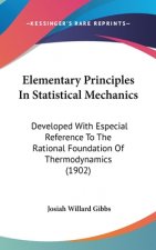 Elementary Principles in Statistical Mechanics: Developed with Especial Reference to the Rational Foundation of Thermodynamics (1902)