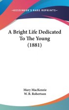 A Bright Life Dedicated to the Young (1881)