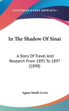 In the Shadow of Sinai: A Story of Travel and Research from 1895 to 1897 (1898)