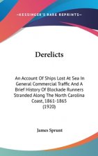 Derelicts: An Account Of Ships Lost At Sea In General Commercial Traffic And A Brief History Of Blockade Runners Stranded Along T