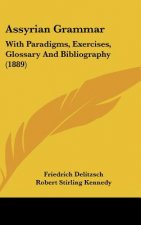 Assyrian Grammar: With Paradigms, Exercises, Glossary and Bibliography (1889)