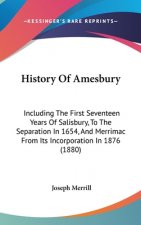 History Of Amesbury: Including The First Seventeen Years Of Salisbury, To The Separation In 1654, And Merrimac From Its Incorporation In 18