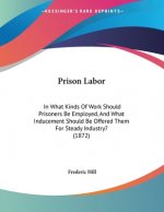 Prison Labor: In What Kinds Of Work Should Prisoners Be Employed, And What Inducement Should Be Offered Them For Steady Industry? (1
