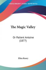 The Magic Valley: Or Patient Antoine (1877)