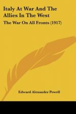 Italy At War And The Allies In The West: The War On All Fronts (1917)