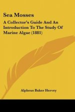 Sea Mosses: A Collector's Guide And An Introduction To The Study Of Marine Algae (1881)