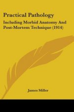 Practical Pathology: Including Morbid Anatomy And Post-Mortem Technique (1914)