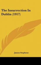 The Insurrection in Dublin (1917)