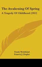 The Awakening Of Spring: A Tragedy Of Childhood (1912)