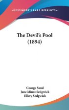 The Devil S Pool (1894)