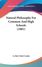 Natural Philosophy For Common And High Schools (1881)