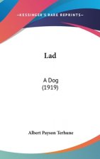 Lad: A Dog (1919)