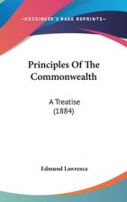 Principles Of The Commonwealth: A Treatise (1884)