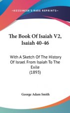 The Book Of Isaiah V2, Isaiah 40-46: With A Sketch Of The History Of Israel From Isaiah To The Exile (1893)