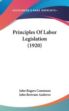 Principles Of Labor Legislation (1920)