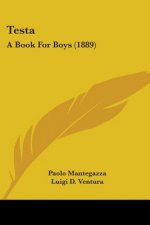Testa: A Book For Boys (1889)