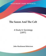 The Saxon And The Celt: A Study In Sociology (1897)