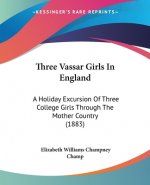 Three Vassar Girls In England: A Holiday Excursion Of Three College Girls Through The Mother Country (1883)
