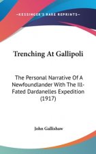 Trenching At Gallipoli: The Personal Narrative Of A Newfoundlander With The Ill-Fated Dardanelles Expedition (1917)