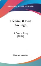The Sin Of Joost Avelingh: A Dutch Story (1894)