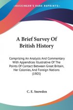 A Brief Survey Of British History: Comprising An Analysis And Commentary With Appendices Illustrative Of The Points Of Contact Between Great Britain,