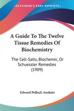 A Guide To The Twelve Tissue Remedies Of Biochemistry: The Cell-Salts, Biochemic, Or Schuessler Remedies (1909)