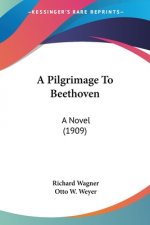 A Pilgrimage To Beethoven: A Novel (1909)