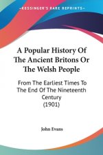 A Popular History Of The Ancient Britons Or The Welsh People: From The Earliest Times To The End Of The Nineteenth Century (1901)
