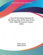 A View Of The Present Situation Of The Western Parts Of The State Of New York, Called The Genesee Country (1804)