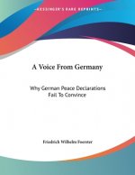 A Voice From Germany: Why German Peace Declarations Fail To Convince: Austria's Peace Proposals, The Letter To Prince Sixtus (1918)