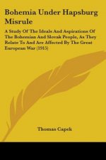 Bohemia Under Hapsburg Misrule: A Study Of The Ideals And Aspirations Of The Bohemian And Slovak People, As They Relate To And Are Affected By The Gre