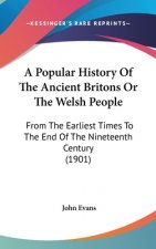 A Popular History Of The Ancient Britons Or The Welsh People: From The Earliest Times To The End Of The Nineteenth Century (1901)