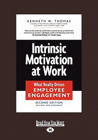 Intrinsic Motivation at Work: What Really Drives Employee Engagement (Large Print 16pt)