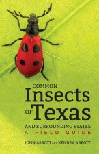 Common Insects of Texas and Surrounding States